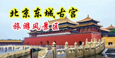 九哥操逼黄片中国北京-东城古宫旅游风景区